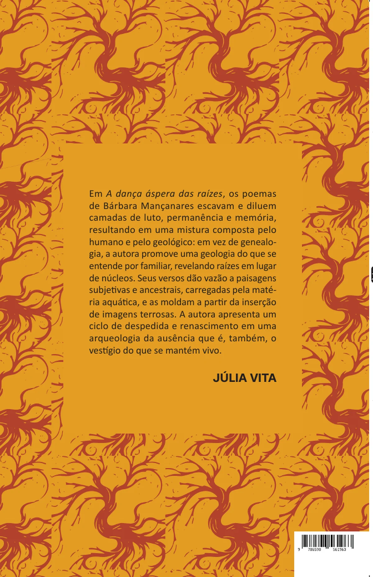 A dança áspera das raízes — Quarta capa
