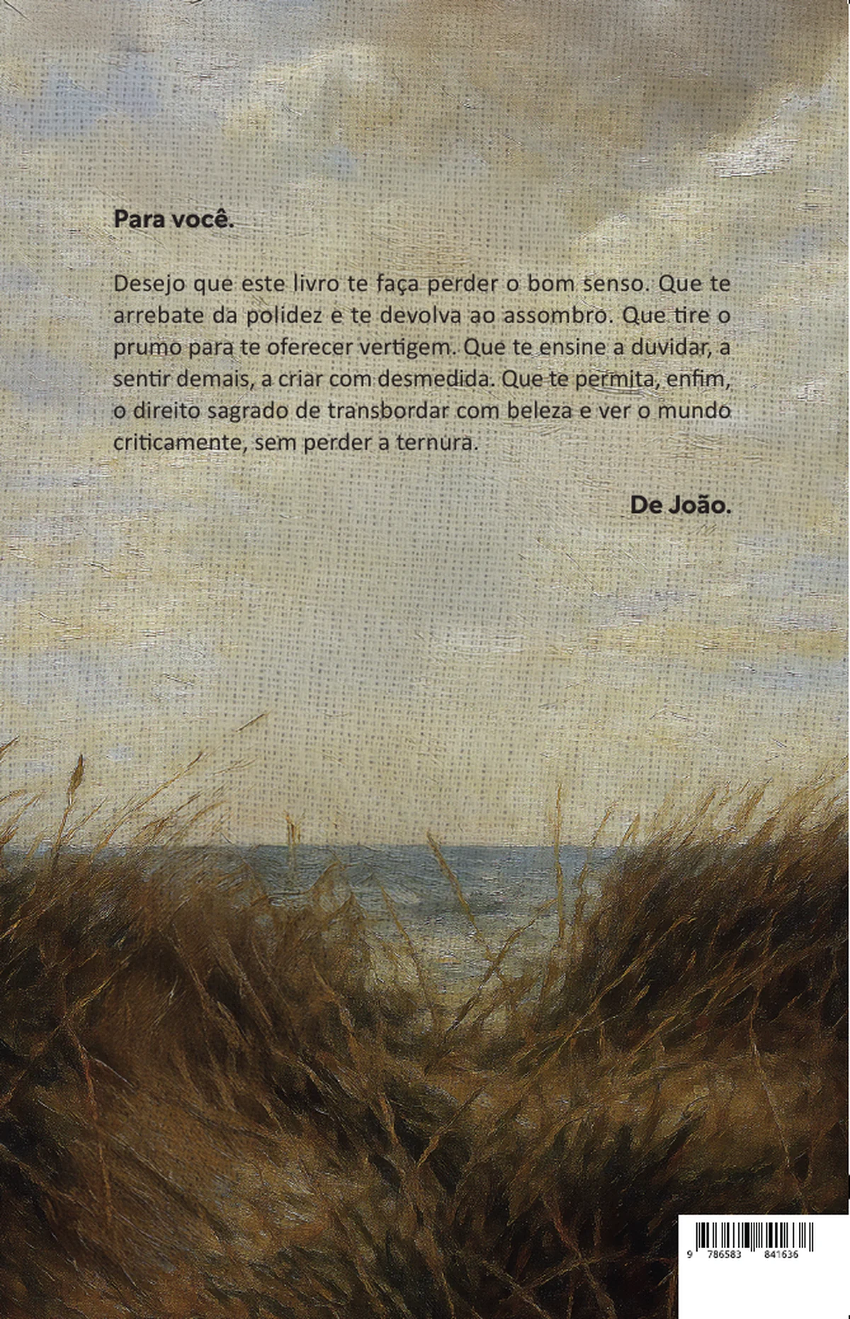 Amenidades — Quarta capa