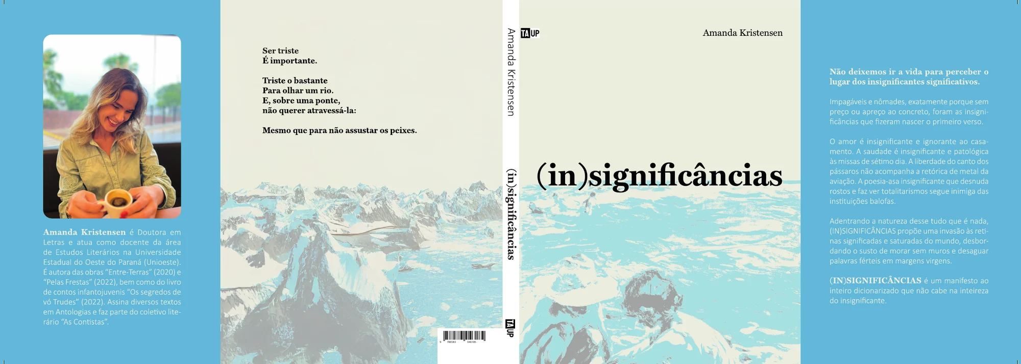 (in)significâncias — Capa aberta
