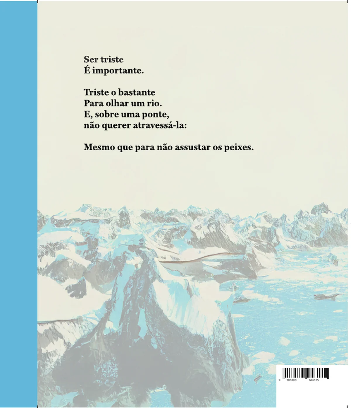 (in)significâncias — Quarta capa